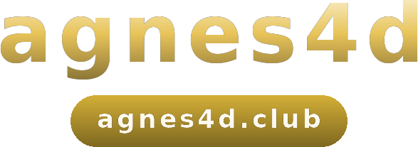 agnes4d logo